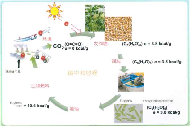 2024年4月10日马来西亚农业部副部长陈泓缣一行到访2